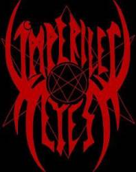 logo Imperiled Eyes